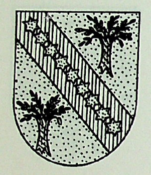 Ospina Coat of Arms / Family Crest 0