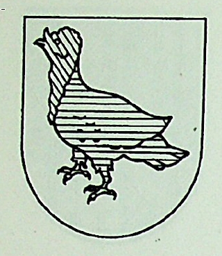 Pavo Coat of Arms / Family Crest 0