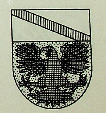 Paz Coat of Arms / Family Crest 1