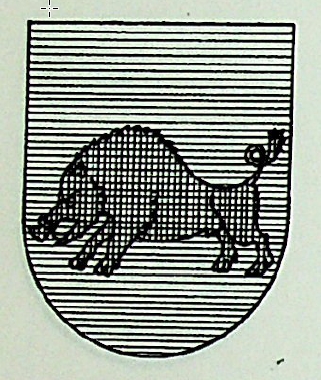 Piqueras Coat of Arms / Family Crest 0