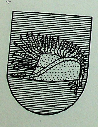 Soberon Coat of Arms / Family Crest 0