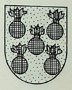 Bardan Coat of Arms / Family Crest 1