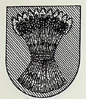 Bayas Coat of Arms / Family Crest 0