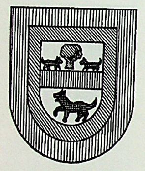 Bayona Coat of Arms / Family Crest 0