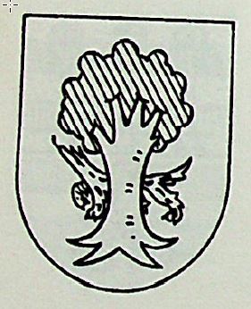 Erro Coat of Arms / Family Crest 0