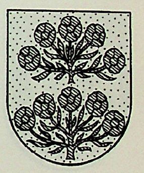 Jarillo Coat of Arms / Family Crest 0