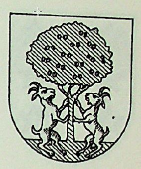 Lizarazu Coat of Arms / Family Crest 0