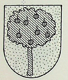 Medin Coat of Arms / Family Crest 1