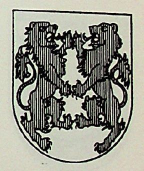 Necochea Coat of Arms / Family Crest 1