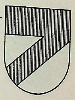 Neve Coat of Arms / Family Crest 0