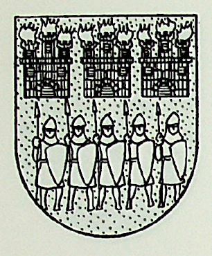 Nicuesa Coat of Arms / Family Crest 0