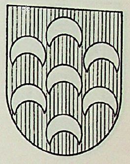 Sarsa Coat of Arms / Family Crest 0