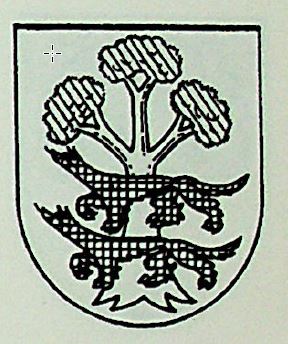 Tejado Coat of Arms / Family Crest 0