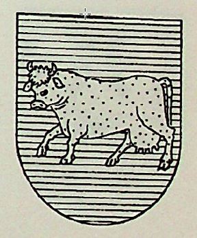 Vaquero Coat of Arms / Family Crest 1