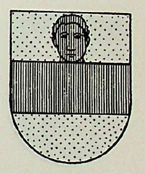 Villen Coat of Arms / Family Crest 0