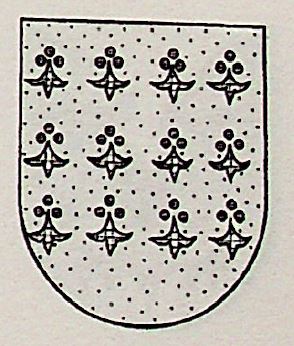 Chiapetusi Coat of Arms / Family Crest 0