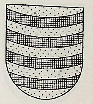 Comas Coat of Arms / Family Crest 0