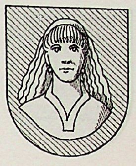 Contell Coat of Arms / Family Crest 0