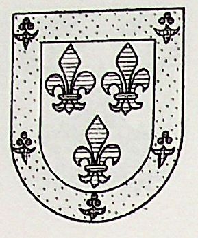 Deniz Coat of Arms / Family Crest 0