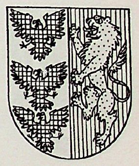 Dominguez-Gil Coat of Arms / Family Crest 0