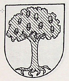 Erquizua Coat of Arms / Family Crest 0