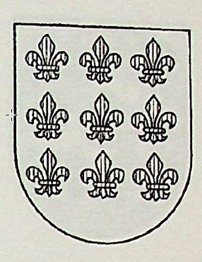Esteve Coat of Arms / Family Crest 0