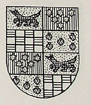 Ituarte Coat of Arms / Family Crest 1