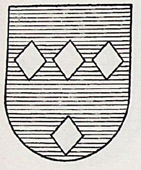 Peyrona Coat of Arms / Family Crest 0