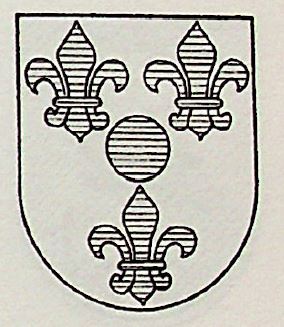 Pisabarro Coat of Arms / Family Crest 0