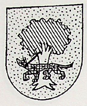 Vergara Coat of Arms / Family Crest 3