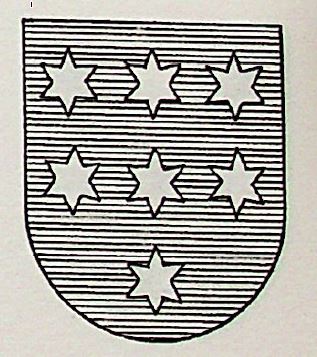 Virues Coat of Arms / Family Crest 0