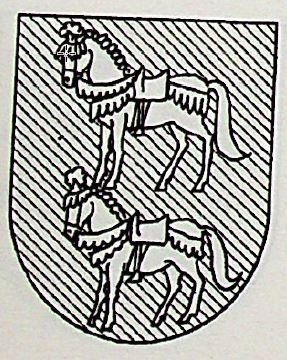 Bardisa Coat of Arms / Family Crest 1