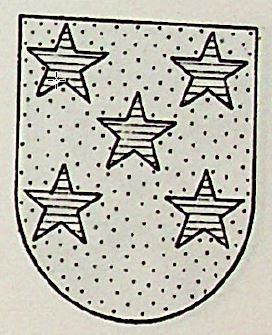 Bayo Coat of Arms / Family Crest 1