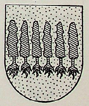 Bervio Coat of Arms / Family Crest 1