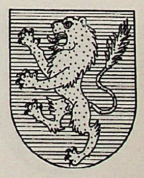 Blanque Coat of Arms / Family Crest 1