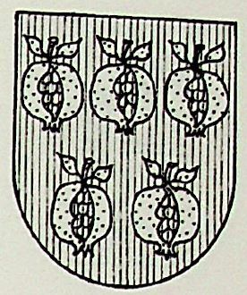 Carabache Coat of Arms / Family Crest 1