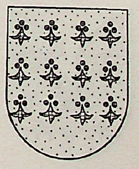 Chiapetusi Coat of Arms / Family Crest 1