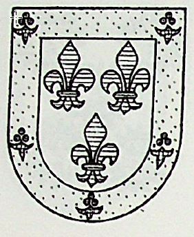 Deniz Coat of Arms / Family Crest 1
