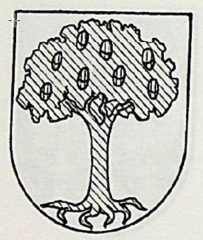 Erquizua Coat of Arms / Family Crest 1