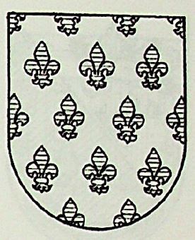 Feito Coat of Arms / Family Crest 1