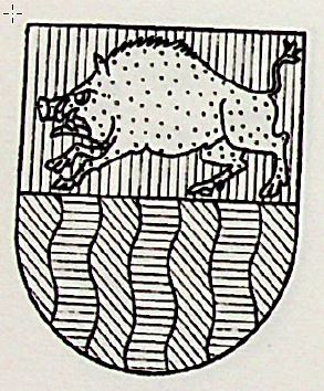 Hernandez-Soler Coat of Arms / Family Crest 1