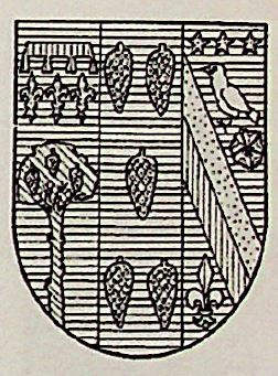 Marcucci Coat of Arms / Family Crest 3