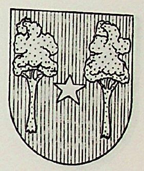 Martin Coat of Arms / Family Crest 9