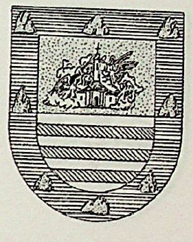 Miura Coat of Arms / Family Crest 1