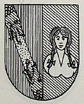 Nun Coat of Arms / Family Crest 1