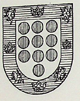 Ordonez Coat of Arms / Family Crest 3