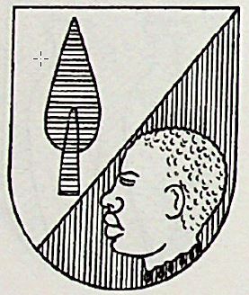 Osono Coat of Arms / Family Crest 2