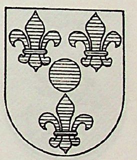 Pisabarro Coat of Arms / Family Crest 1