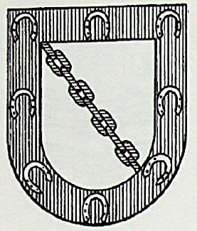 Viadangos Coat of Arms / Family Crest 1
