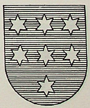 Virues Coat of Arms / Family Crest 1